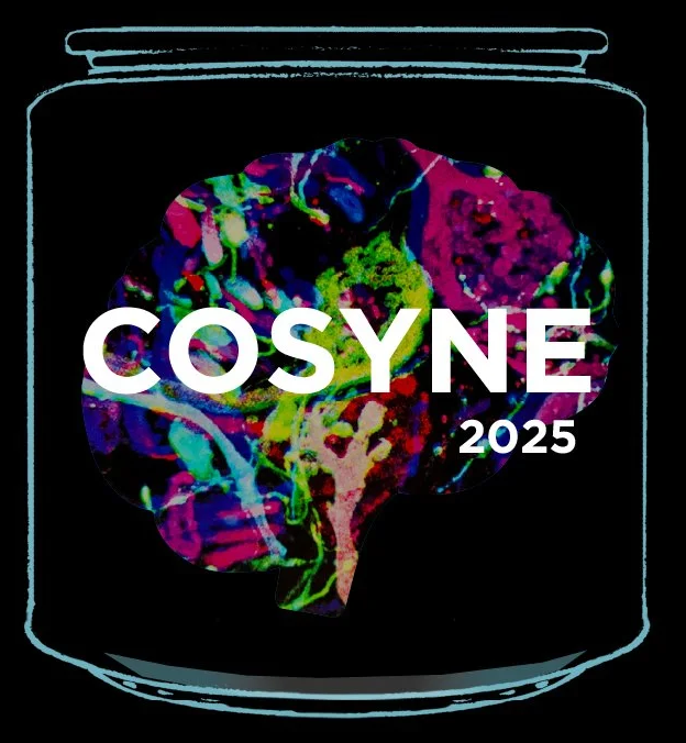 Cosyne